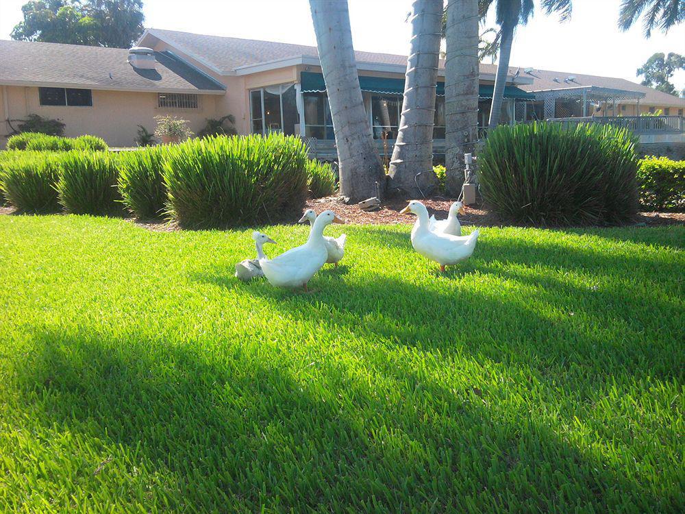 Hollywood Beach Golf Resort 外观 照片